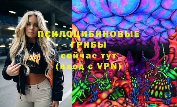 спайс Беломорск