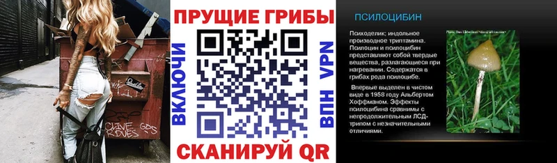 Галлюциногенные грибы мицелий  Высоковск 